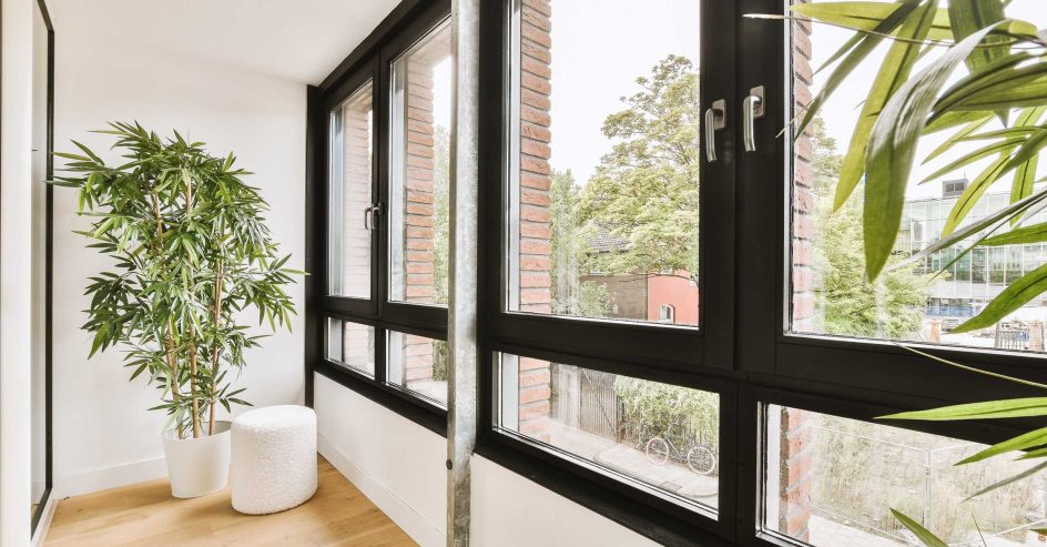 big windows with black frame