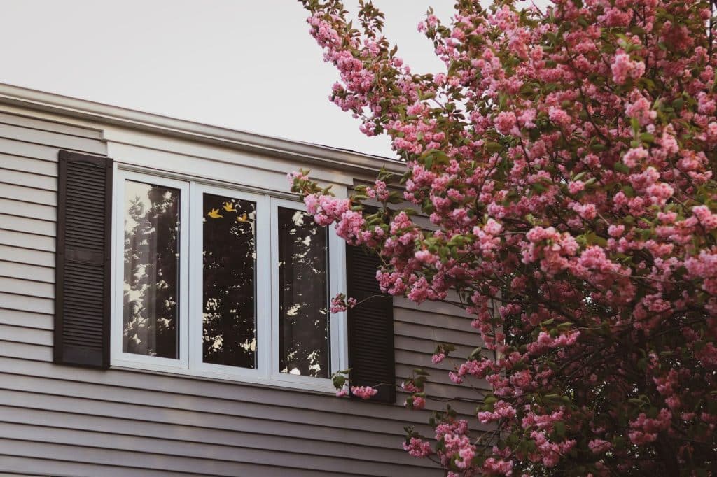 Soft-Lite Windows in New Orleans: What Sets the Line Apart