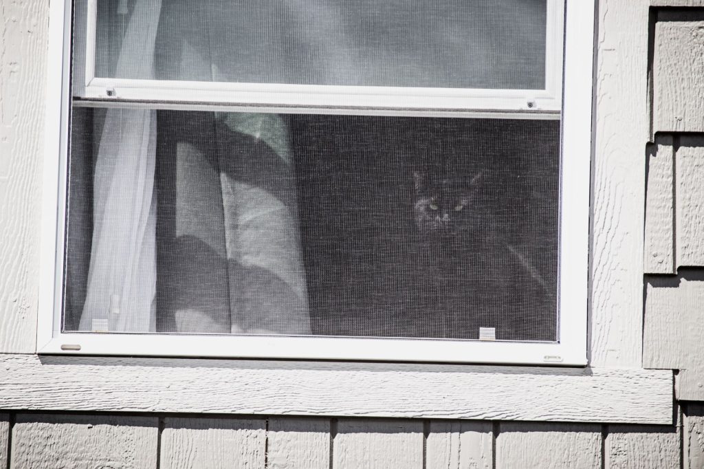 Solar and Insect Screens for New Orleans Windows